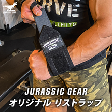 画像をギャラリービューアに読み込む, JURASSIC GEAR BASIC SET