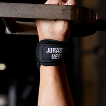 画像をギャラリービューアに読み込む, JURASSIC GEAR オリジナル パワーグリッププロ