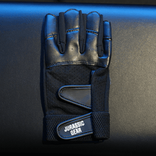 画像をギャラリービューアに読み込む, JURASSIC GEAR オリジナル トレーニング グローブプロ
