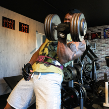 画像をギャラリービューアに読み込む, JURASSIC GEAR BASIC SET
