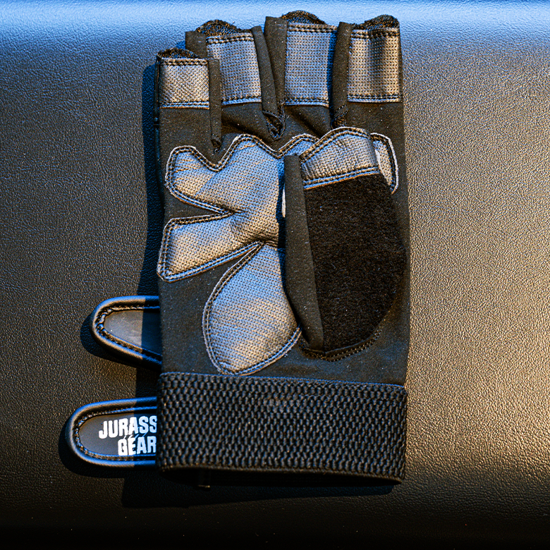 JURASSIC GEAR BASIC SET